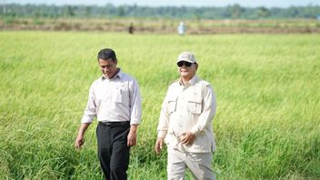 Prabowo montre Amran du poste : Mentan ainsi que chef de Bapanas