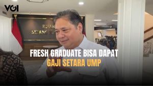 Pemerintah Gelar Program Magang untuk Fresh Graduate, Gaji Setara UMP, Bagaimana Caranya?