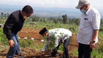 Mount Sumbing Area Planted 50,680 Seeds For Conservation
