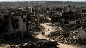 المجلس العامل لخليج سيمنجونج الإبادة القمعية الإسرائيلية في نوسيرات