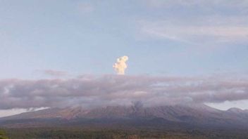 Status Awas, Semeru Erupsi Beruntun Semalam hingga Selasa Pagi