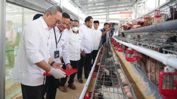 PNM食品院(PNM Food House)的肉丸收获到蛋鸡,协调部长Zulhas:粮食安全援助