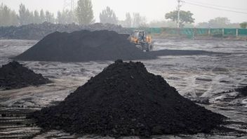 石炭と金を取り出すための税関の規則を準備する、Bahlil:起業家にとってそれを困難にしないでください