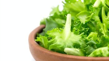 Is It True That Drinking Brewed Lettuce Helps Overcome Insomnia?