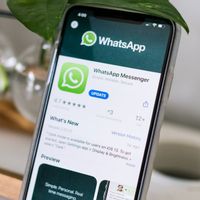 WhatsApp yang Kini Batasi Forward Pesannya untuk Cegah Hoaks