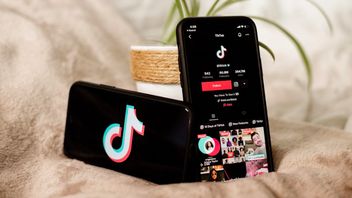 سيتمكن مستخدمو TikTok من إرسال رسائل الصوت والفيديو والصور على DM