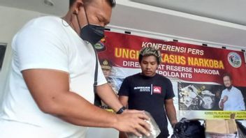 Polisi Sita Paket 2 Kg Ganja di Lombok Barat Kiriman Asal Aceh