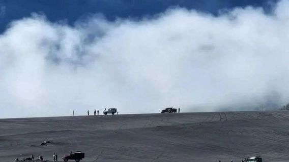 Libur Lebaran 2026: Kawasan TNBTS Sambut 25.588 Wisatawan, Sumbang PNBP Miliaran Rupiah