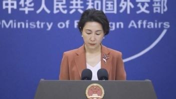 China Criticizes Japan's Move to Form New Intelligence Agency