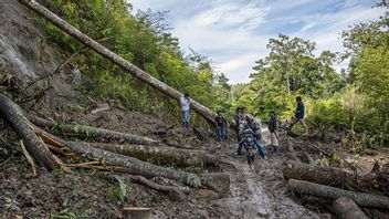 苏拉威西岛中部居民在经过山路时应保持谨慎