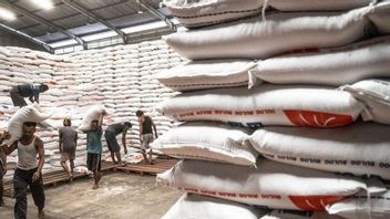 جاكرتا - تضمن الحكومة أن أسعار الأرز ومخزونها ستكون آمنة خلال شهر رمضان 2024.