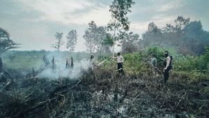 Satgas Polres Musi Banyuasin Sumsel Tangkap Pembakar Lahan