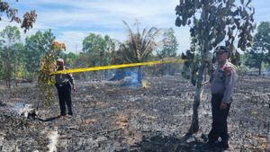 Polisi Tangkap Pembakar Lahan 1,5 Hektare di Bengkalis