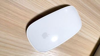 Apple Akan Mendesain Ulang Magic Mouse Tahun Depan: Apa yang Dapat Diharapkan?