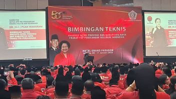  Soal Siapa Capres dari PDIP, Puan Maharani: Itu Ada di Garis Tangan