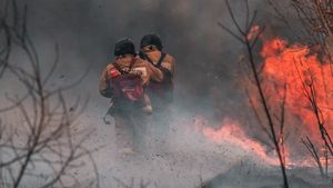 Portugal Berjibaku Atasi 3 Kebakaran Hutan Besar di Tengah Teriknya Musim Panas