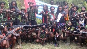 Kapolda Papua Barat Instruksikan Tangkap Anggota KKB Hidup Atau Mati