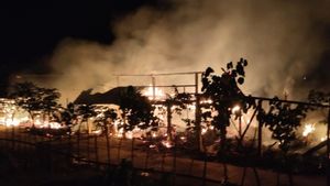 5 Ekor Kerbau di Jepara Mati Terpanggang Akibat Kebakaran, Petani Rugi Ratusan Juta Rupiah