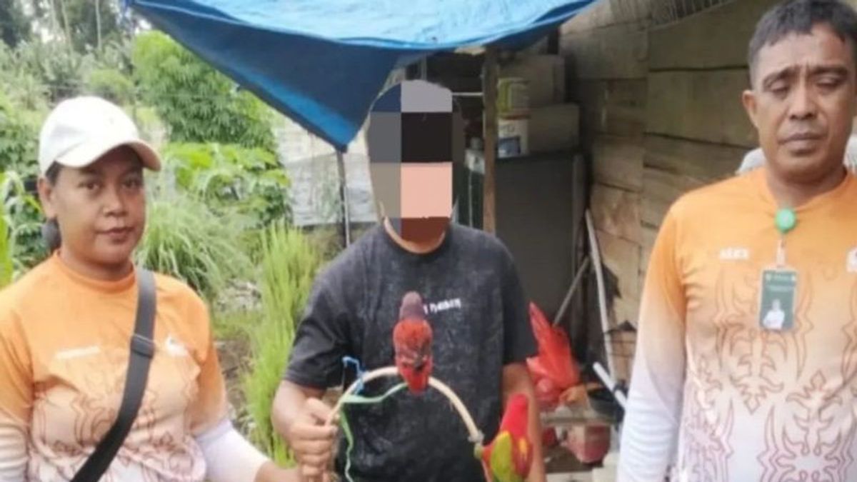 2 Nuri Cantik从北哈马黑拉的市场被BKSDA救出