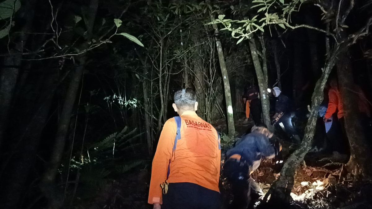 Remaja Prancis Hilang Usai Terperosok di Gunung Batukaru Bali