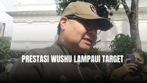Airlangga Hartarto Bangga Wushu Bisa Raih 5 Emas dari Target 3 Medali Emas di SEA Games 2025