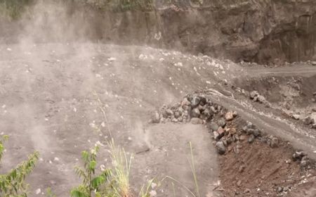 Tolong Setop Dulu Aktivitas Cari Rumput untuk Pakan Ternak di Lereng Merapi