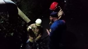 Warga Panik Melihat Ular Piton 3,5 Meter di Saluran Air, Petugas Sigap Lakukan Evakuasi
