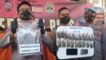 Karyawan Koperasi Pengedar 1 Kg Ganja di Cirebon Ditangkap