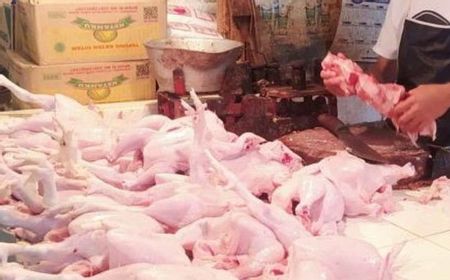 Meningkat Tajam, 1Kg Daging Ayam di Pasar Tradisional Babel Tembus Rp50 Ribu