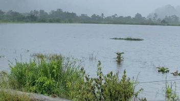 北科纳韦苏尔特拉150公顷的农田受到洪水的影响