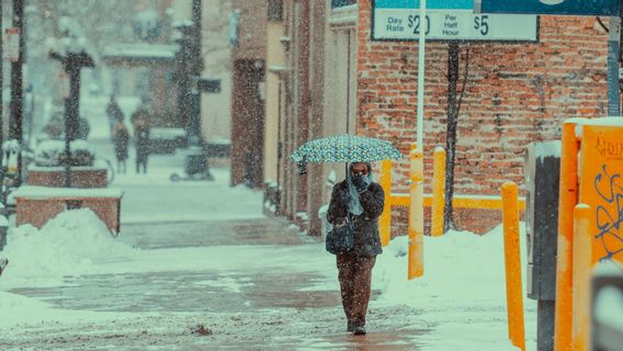 澳大利亚昆士兰州极端天气自近10年以来首次降雪