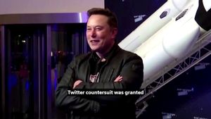 Elon Musk dan Perusahaannya Digugat karena Lakukan Penipuan  Skema Piramida Dogecoin