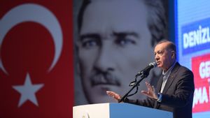 Presiden Turki Erdogan Nilai Penyelesaian Konflik Gaza sangat Penting untuk Dunia Islam