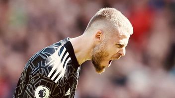 Profile Of David De Gea And His Career Travel, Ever The Best Young Goalkeeper