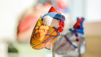Genetics or Lifestyle? Breaking the Chain of Heart Disease in Families