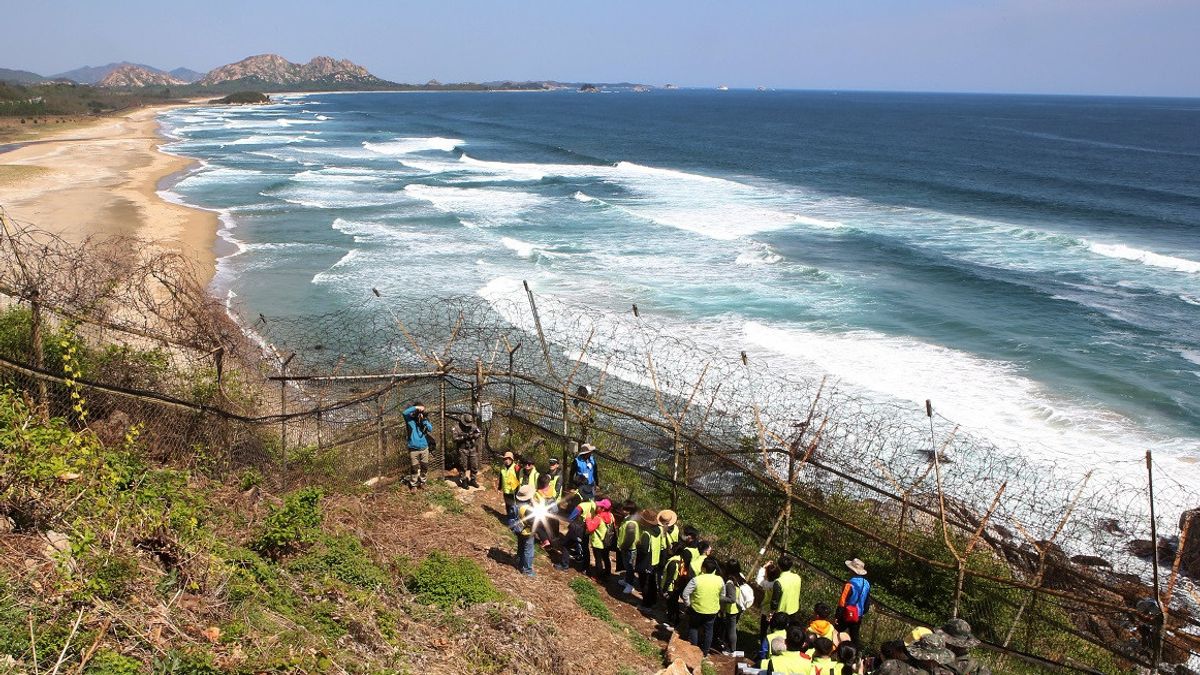 11 Demilitarized Zone Hiking Paths Between South Korea And North Korea Open To The Public, Interested In Trying?