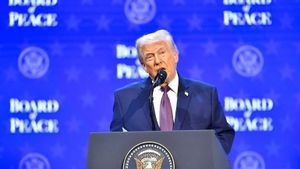 Trump Usulkan Uji NATO Berantas Imigrasi Ilegal di Perbatasan AS