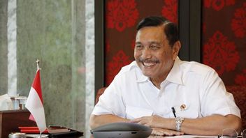 Jokowi Appoints Luhut To Manage Java-Bali Cooking Oil, Indef: Unsuitable, Damaging Government Work Procedures