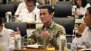 Kasus Beras Oplosan, Mentan Amran: Sudah Berlangsung 10 Tahun, Kerugian Dalam Satu Tahun Rp99 Triliun