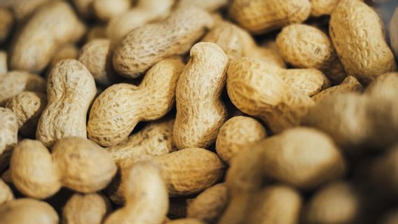 Berlogo Halal Palsu, 22.700 Produk Kacang Tanah Disita Aparat Malaysia