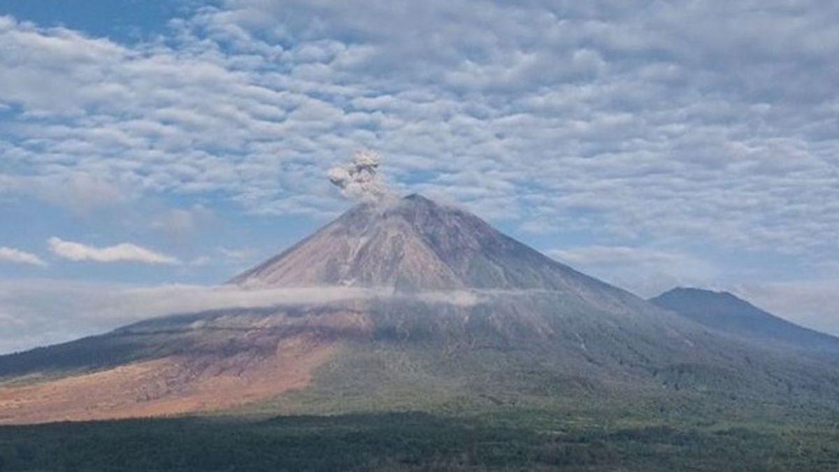 Gunung Semeru Enam Kali Erupsi Senin Pagi, Kolom Abu Capai 1 Kilometer