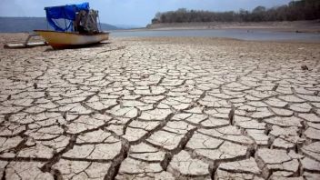 BMKGの責任者:2023年の干ばつは過去3年間よりも乾燥します