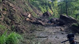 Longsor Tebing 100 Meter Tutup Akses Jalan Desa di Jepara