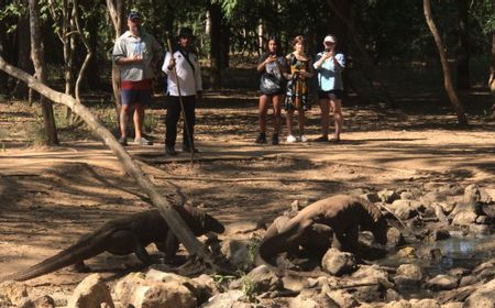 Soal Penundaan Tarif Masuk Pulau Komodo, Pemprov NTT Perluas Sosialisasi