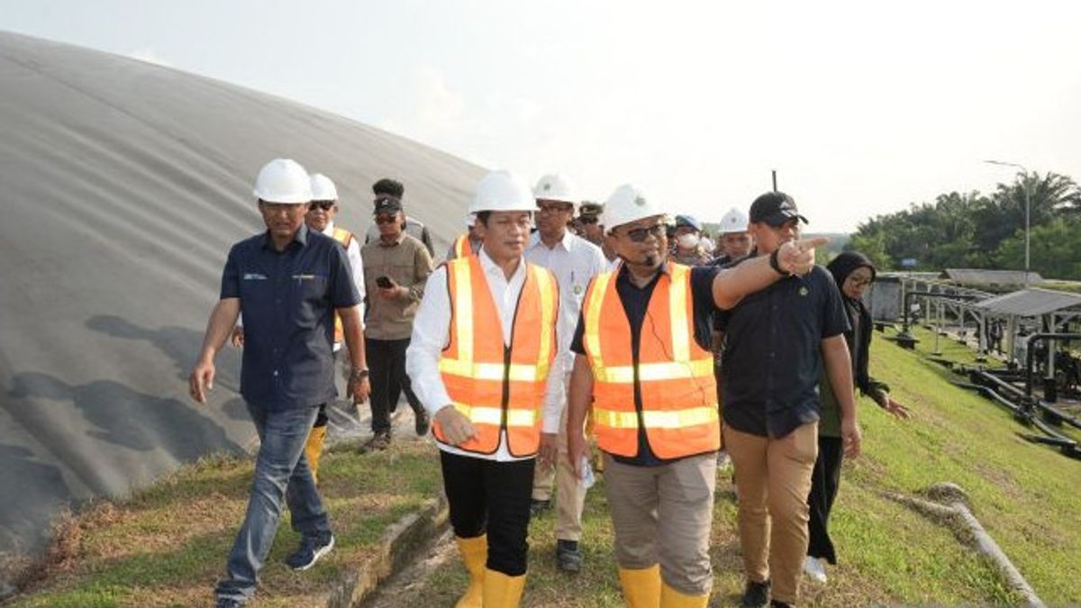 Minister Of Environment Asks PalmCo To Take Advantage Of Carbon Trading