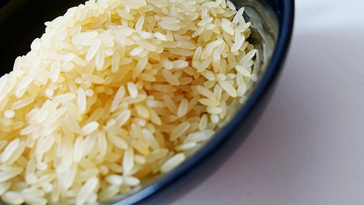 ご飯1皿にどれくらいのカロリー?ダイエット中に食べてもいい