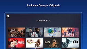 Disney + Now Has 164.2 Million Customers, But Revenue Is Not In Accordance With Expenditure