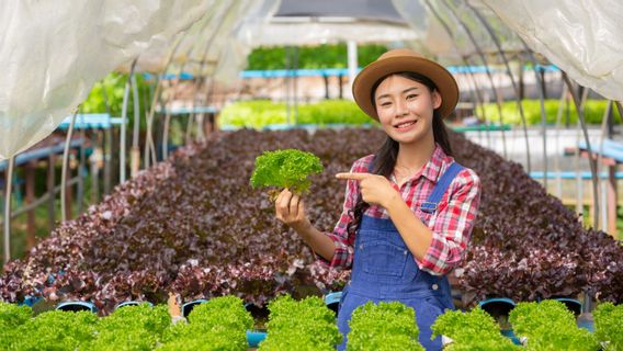 معرفة الفرق بين Aquaponics و الزراعة المائية، وهو أفضل؟