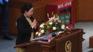 Jaga Suara untuk Pemilu Mendatang, Siti Zuhro Sarankan Puan Maharani Rawat Hubungan Baik Warga Nahdliyin dan PDIP