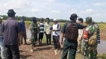 Quatre Jours, Les Victimes D’une Attaque De Crocodile à Banyuasin N’ont Pas été Retrouvées